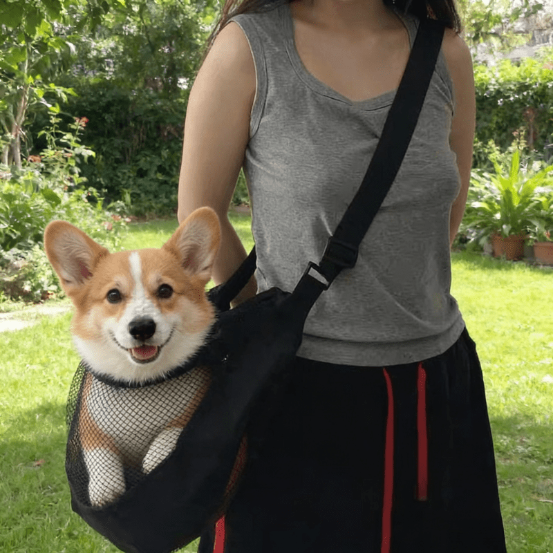 Lightweight Breathable Mesh Do - Travel Accessories Dog 评论和价格