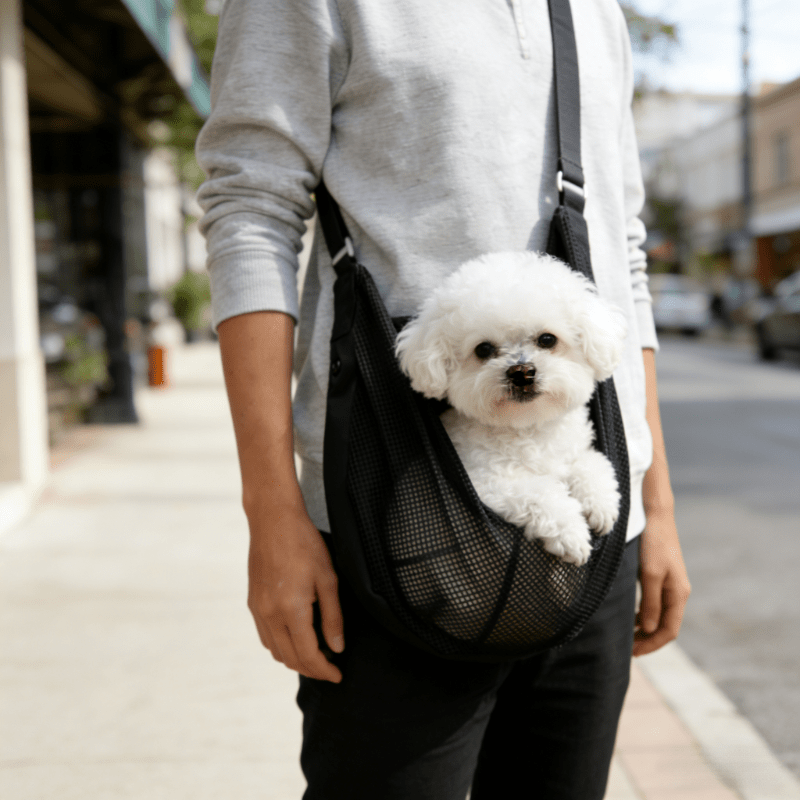 Lightweight Breathable Mesh Do - Travel Accessories Dog 评论和价格