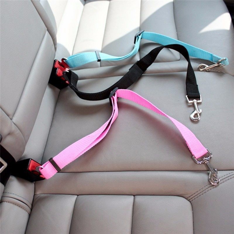Cat Car Seat Belt Dog Accessor - Travel Accessories Dog 评论和价格