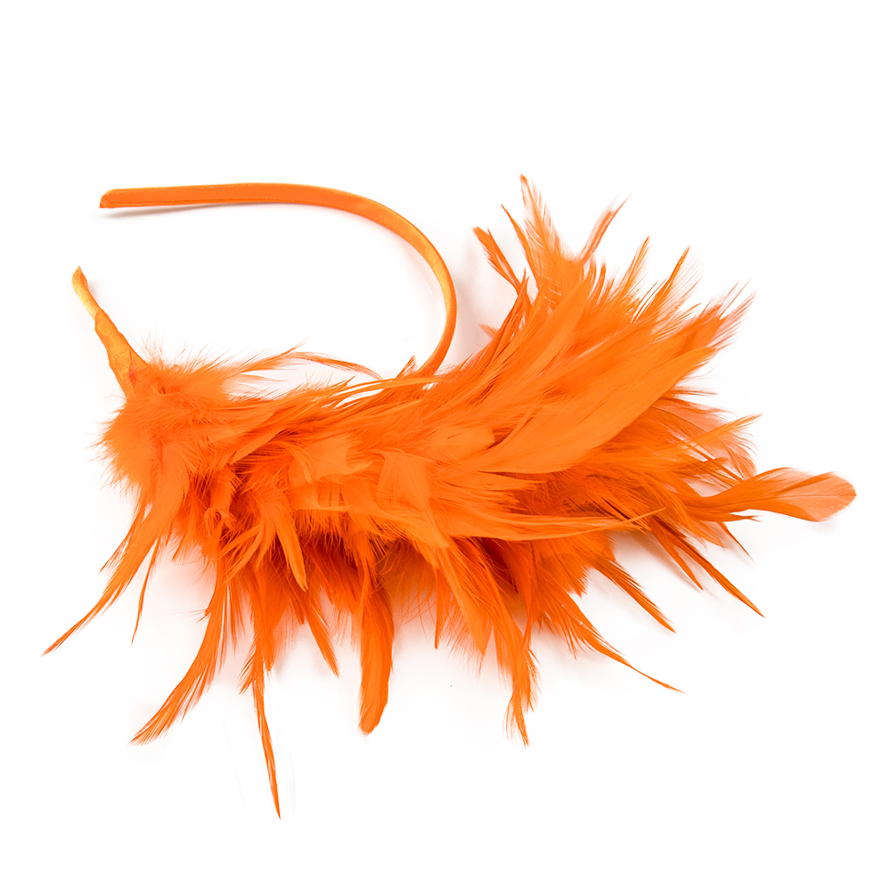 Dance performance feather head - Travel Accessories Bunnings 评论和价格