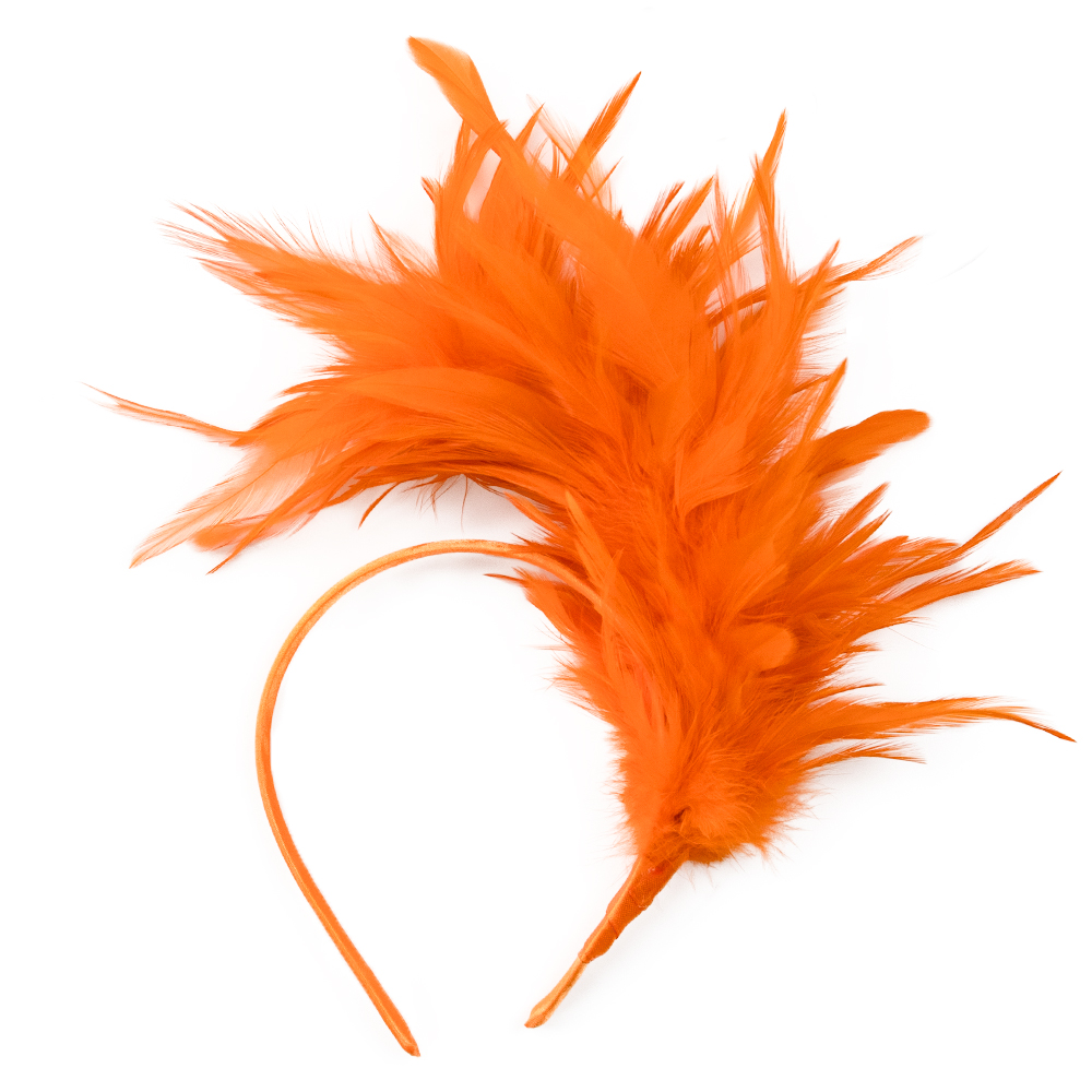 Dance performance feather head - Travel Accessories Bunnings 评论和价格